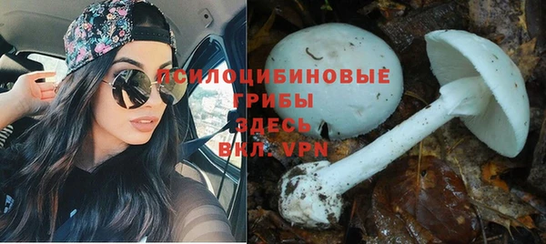 mdpv Алексин
